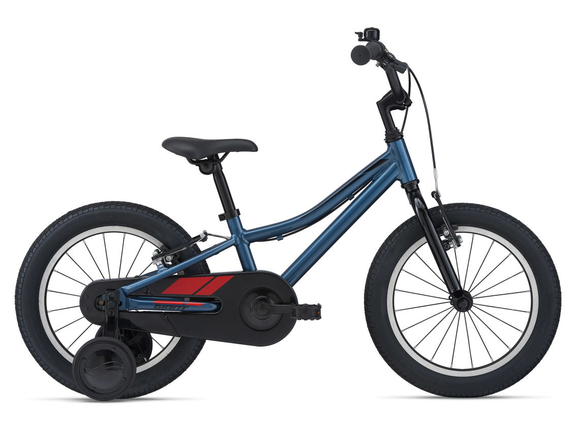 Animator F/W 16 Blue Ashes