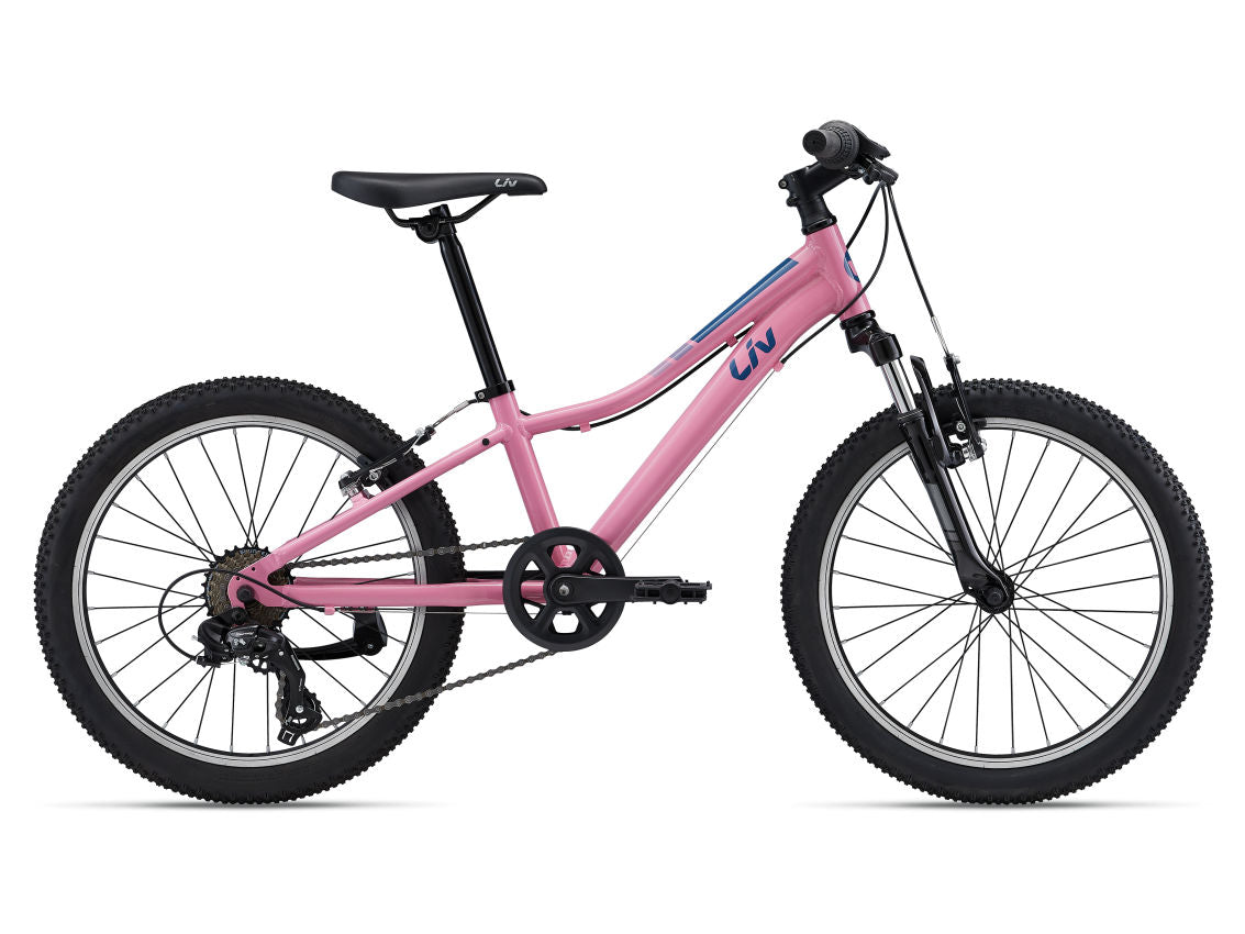 Enchant 20 Azalea Pink