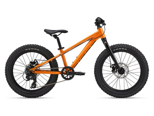 STP 20